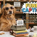 Funny captions